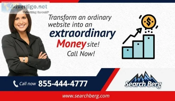 Professional SEO Detroit