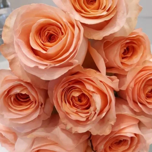 Best Flower Delivery Melbourne - 1 Flower Shop