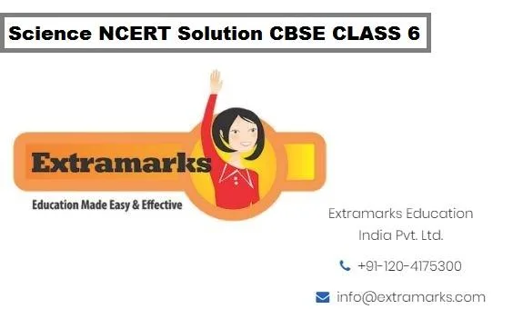 Science NCERT Solution CBSE CLASS 6