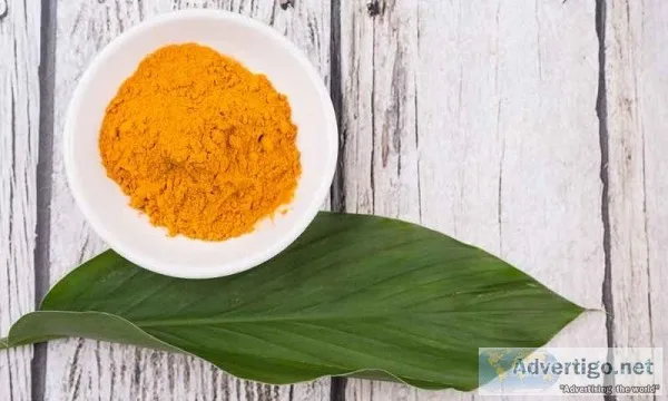 Bioactive Turmeric Extract  Arjunanatural.com