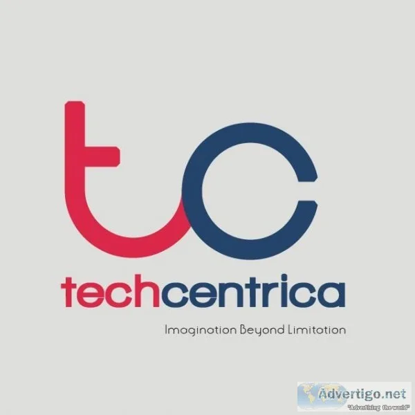 SEO Company in Noida