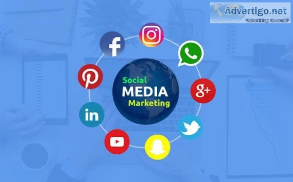 Social Media Marketing Company In Noida- SEO INDIA HIGHERUP