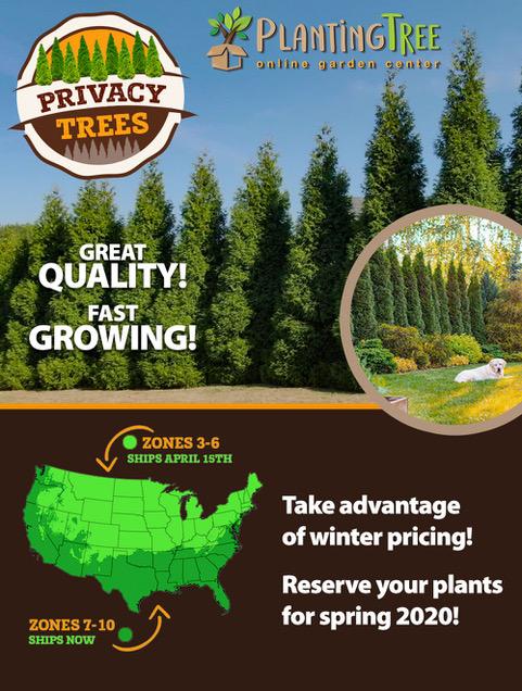 Privacy Trees