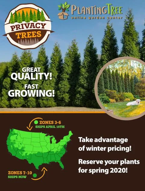 Privacy Trees