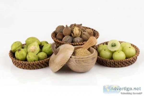 Garcinia Fruit Extract  Arjunanatural.com