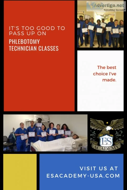 It&rsquos Too Good to Pass Up On -  Phlebotomy Classes