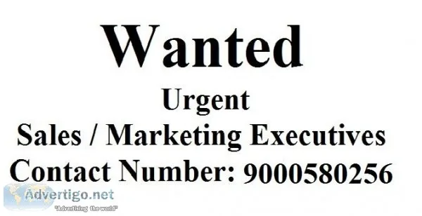 Wanted Executives