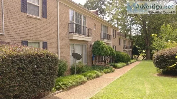 600 Off Rent Spacious 2 Bed 2 Bath Near Greenline and UM 30 Day 