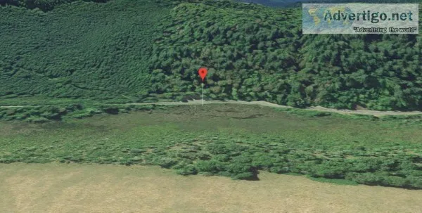 .65 Acres of Forest Land For Sale In White Pass WA