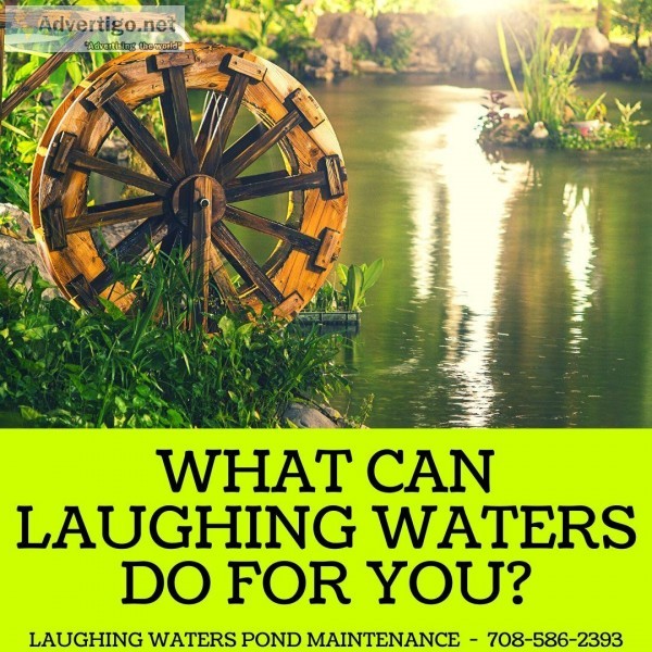 What Can Laughing Waters Do For You