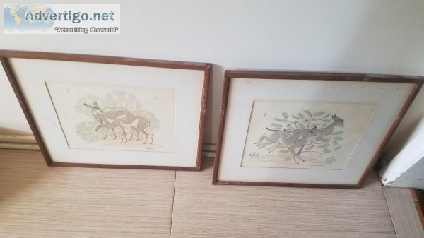 DEERS PICTURES