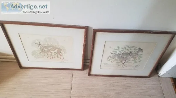 DEERS PICTURES