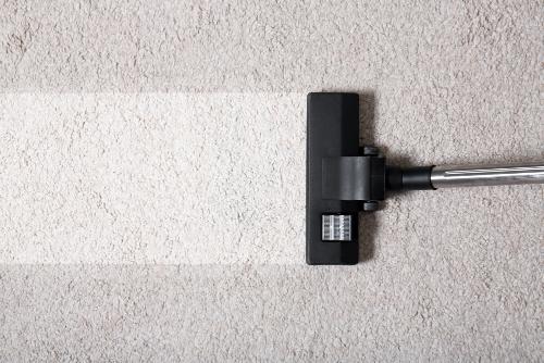 Looking for a Professional Carpet Cleaning Company