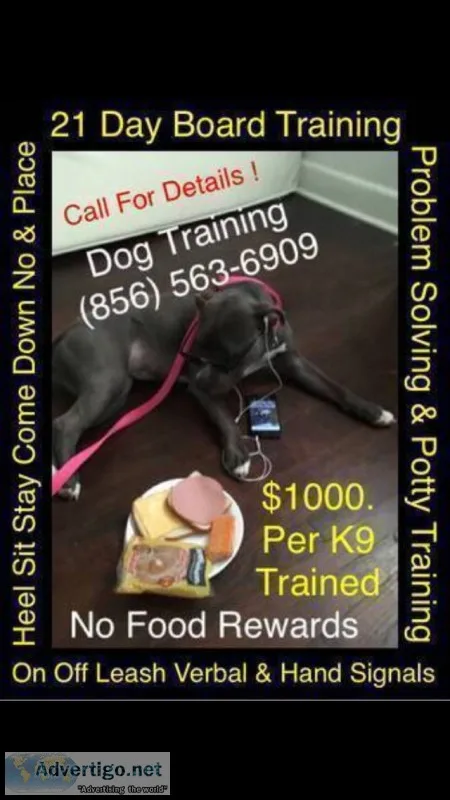 We work with your problem dogs