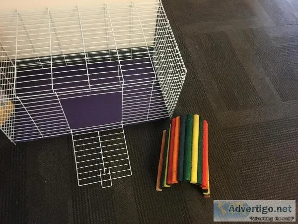 15 Rabbit supplies