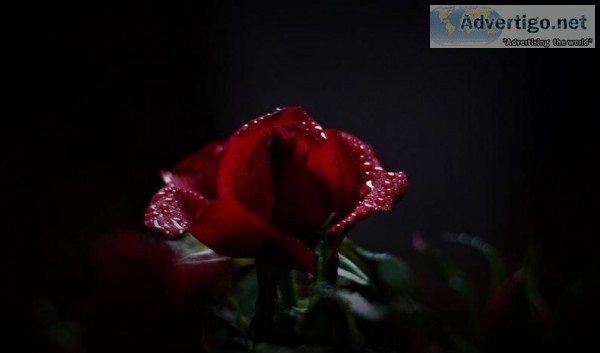 Hindman Funeral Homes and Crematory Inc.