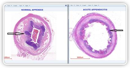 Find the Best Digital slide sets services in Delhi NCR India