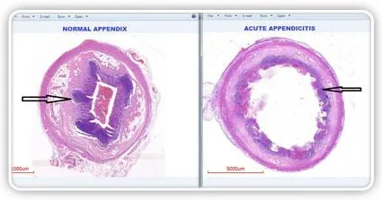 Find the Best Digital slide sets services in Delhi NCR India