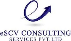 best virtual cfo services