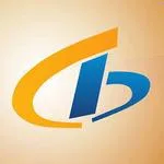Bliss IT Solutions the top Seo Company in India