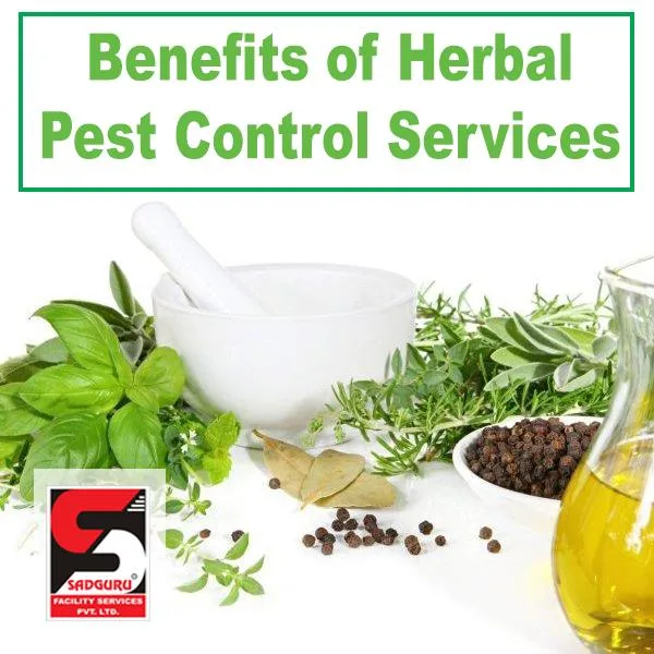 sadguru pest control