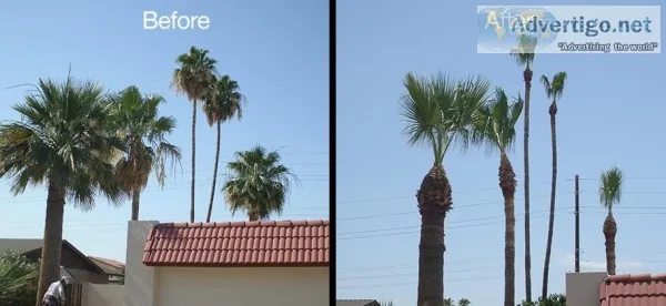 JandR Landscaping- low rates