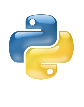 PROFESSIONAL TRAINING IN PYTHON AT VSITDWARKA