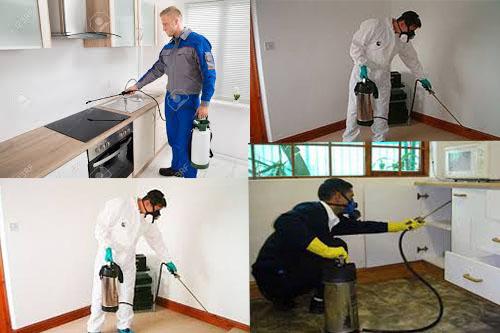 Pre-Constructional Anti Termite Treatment