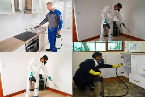 Pre-Constructional Anti Termite Treatment