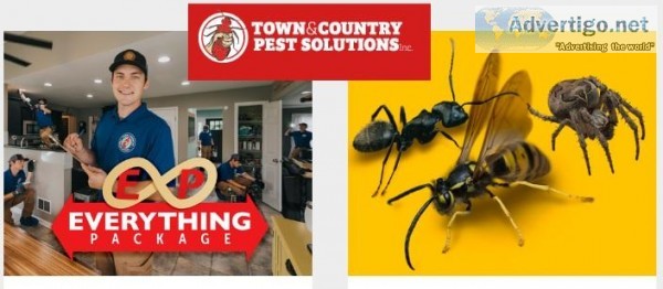 Bee Exterminators Pest control Rochester Syracuse Buffalo NY