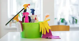 Rachels Domestic Cleaning Services