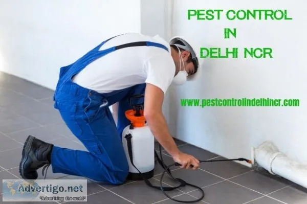 pest control in delhi ncr Get Rid All Insect