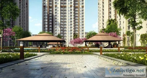 2 BHK Flat (995 sq.ft)  Ace Divino Noida Extension Rs. 3663sq.ft
