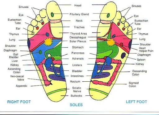 Reflexology Therapy  San Antonio Texas
