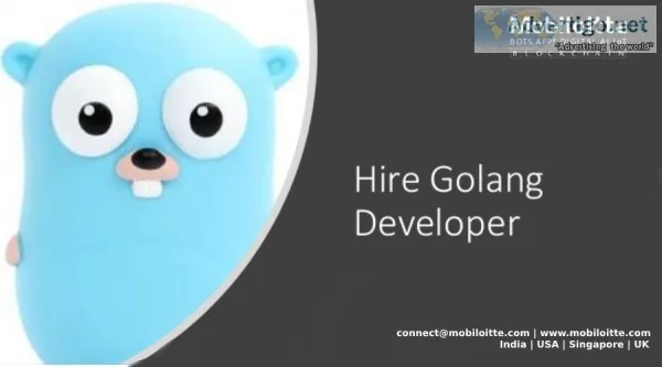 Hire Golang Developer