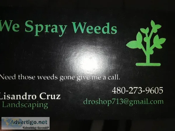 Weed Spraying