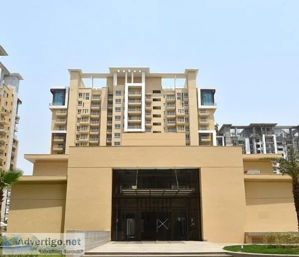 Palm Garden Ready to Move 5 Bed Penthouse at Sector 83
