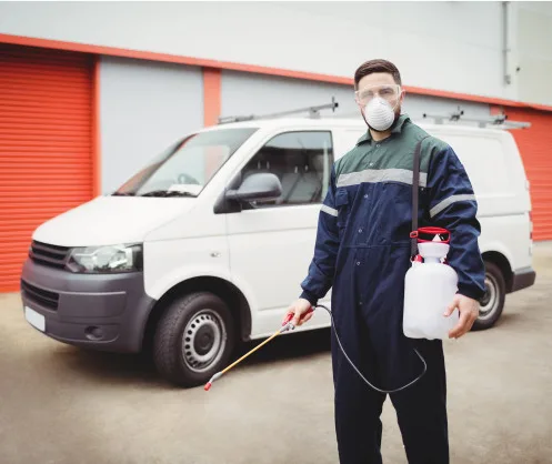 Pest Control Paddington
