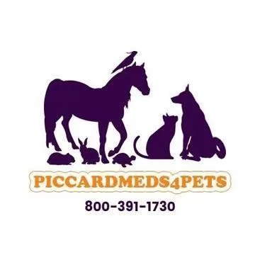Get the best Dog flea medication now