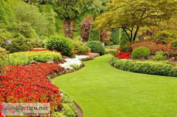 Take Assistance from the Best landscapers near me Services