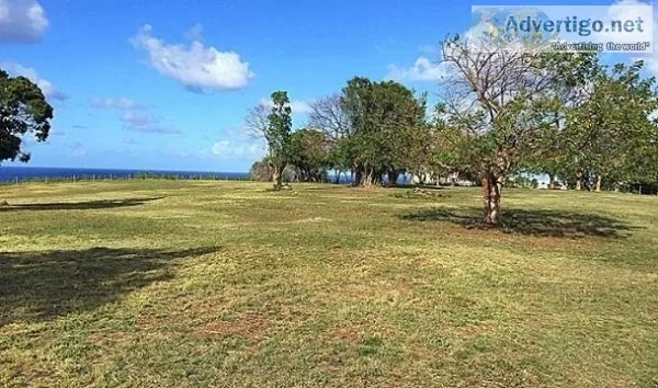 Find the best commercial real estate properties in Puerto Rico w