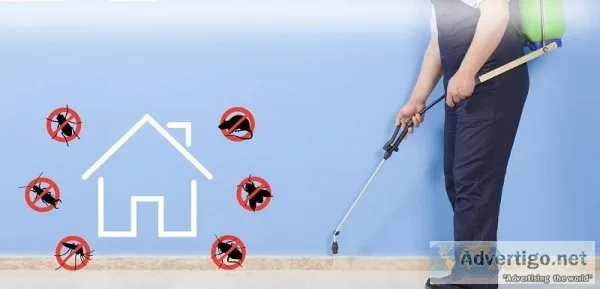 Search Exterminators Near Me to Remove Unwanted Animals From Hom