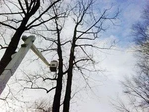 Find an expert for Landscape Design and Maintenance in Rockland 
