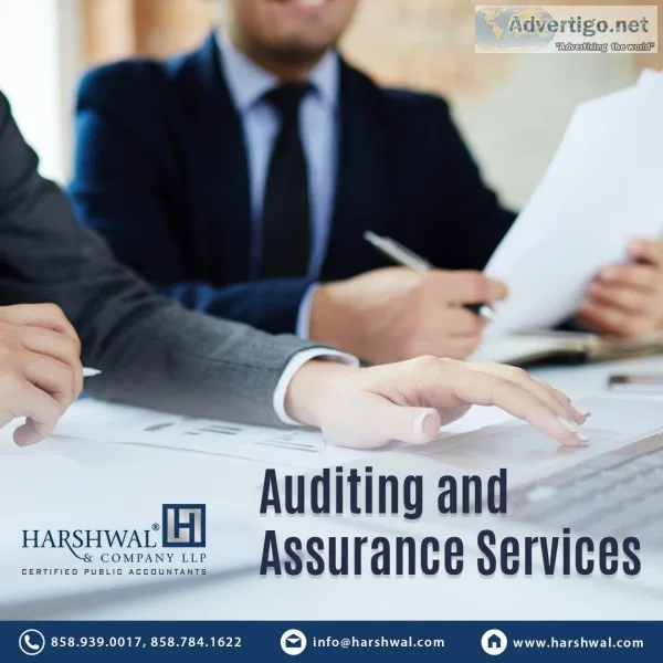 Hire a Professional Auditing and Assurance Services in USA  HCLL