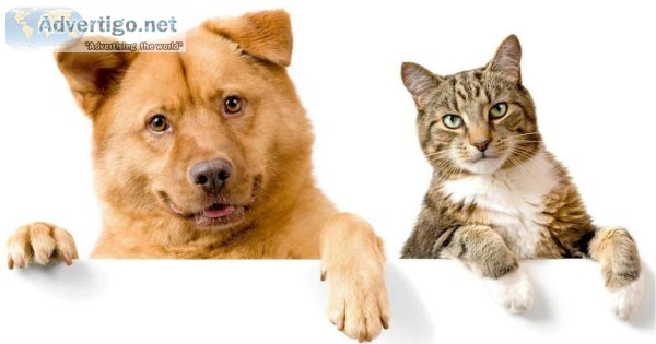 Paws and Claws Pet Boarding