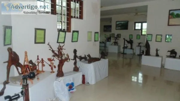 Incredible Collection Of Driftwood Pieces At Kumarakom  Bay Isla