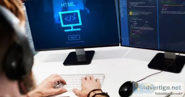 Hire Dedicated Web Developers