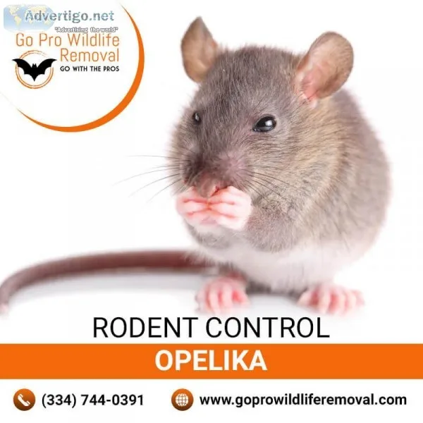 Rodent control Opelika