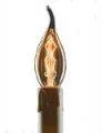 Candle Globe and Squirrel Cage Shaped Vintage Filament Light Bul