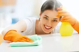House Cleaning Services